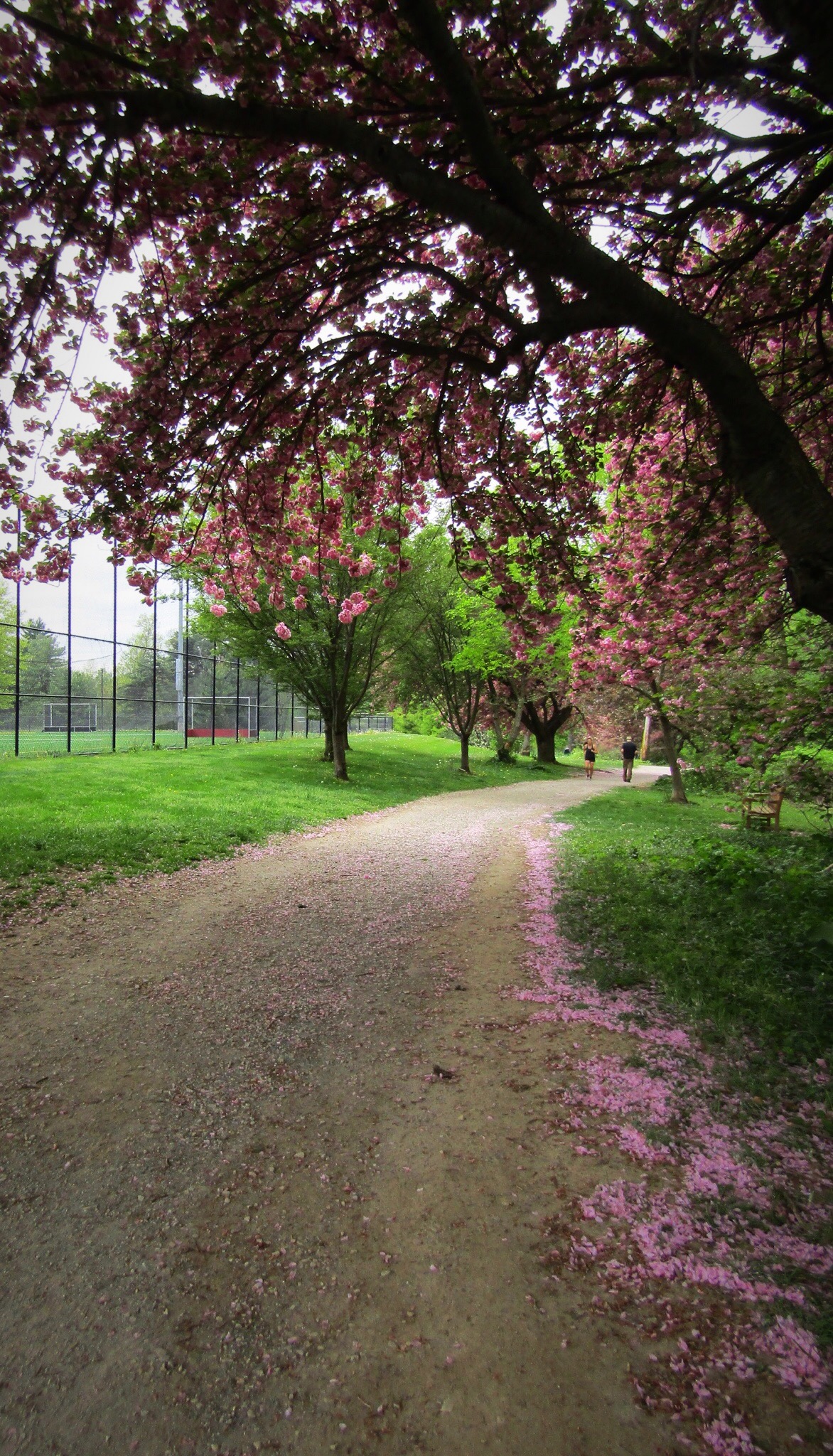 Haverford College photo 9