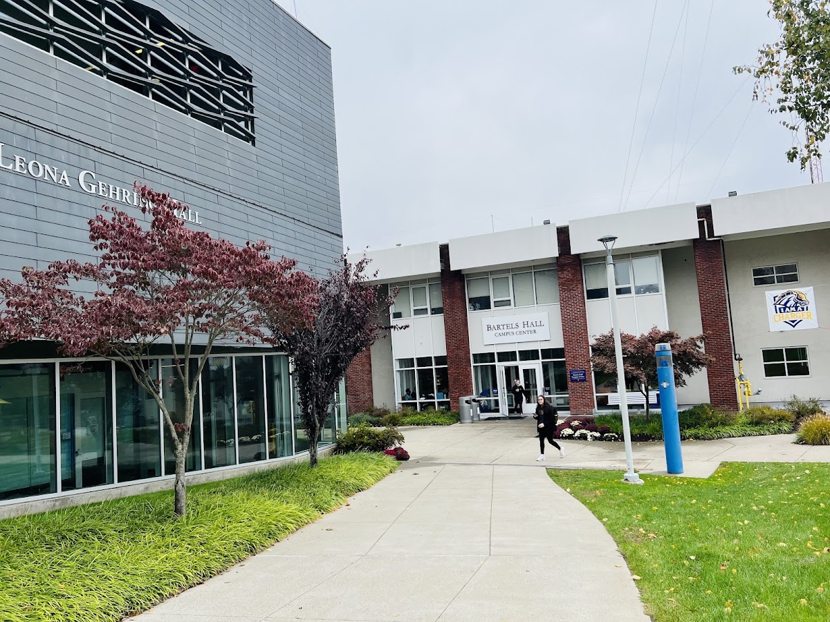 University of New Haven photo 4