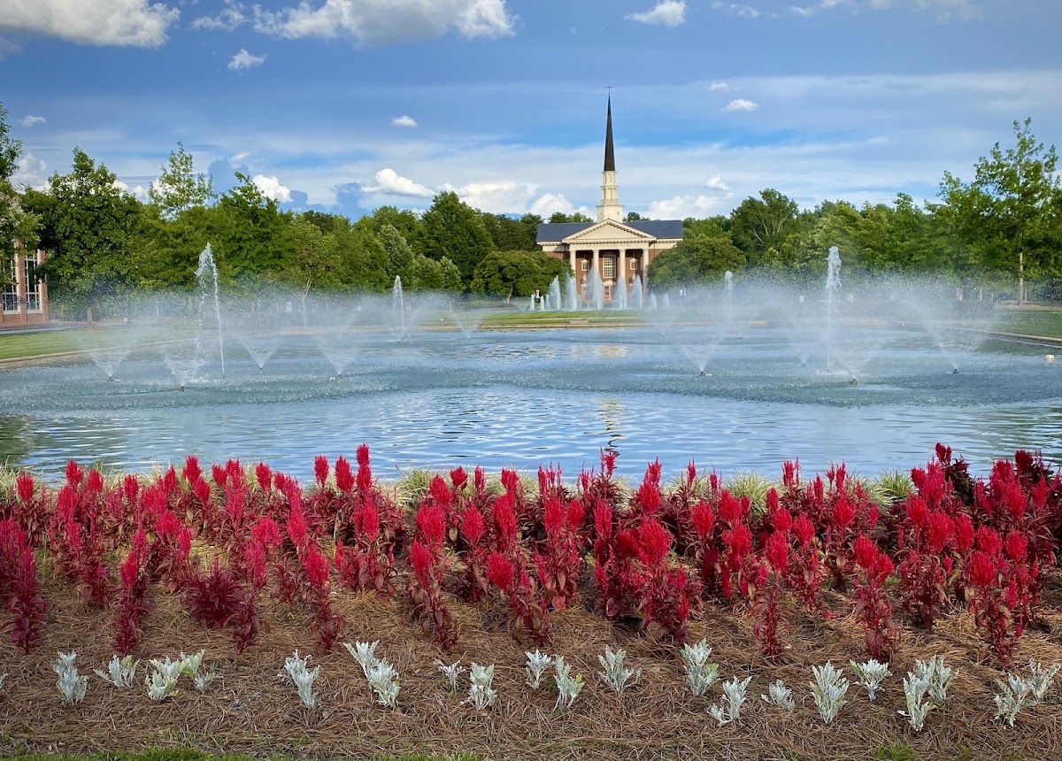 Furman University photo 8