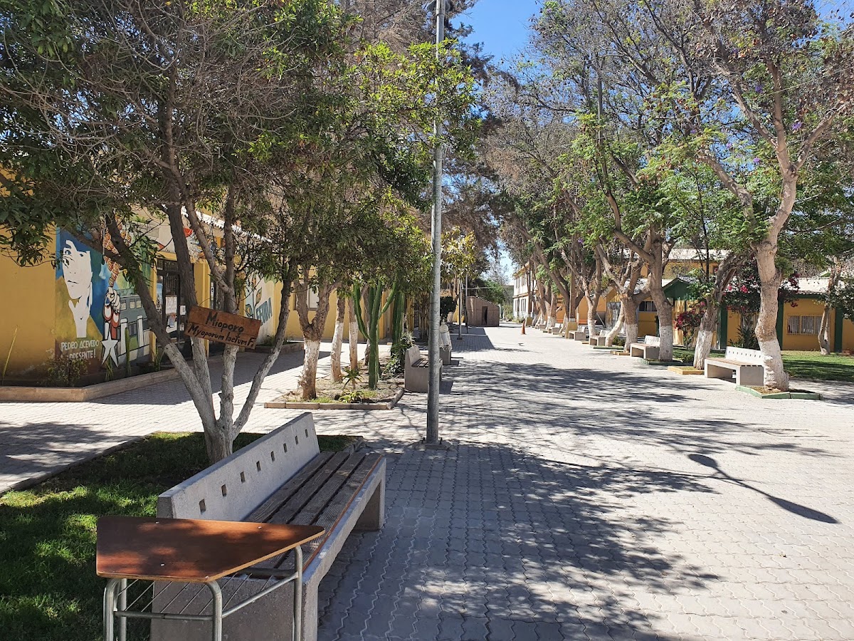 University of Atacama photo 4