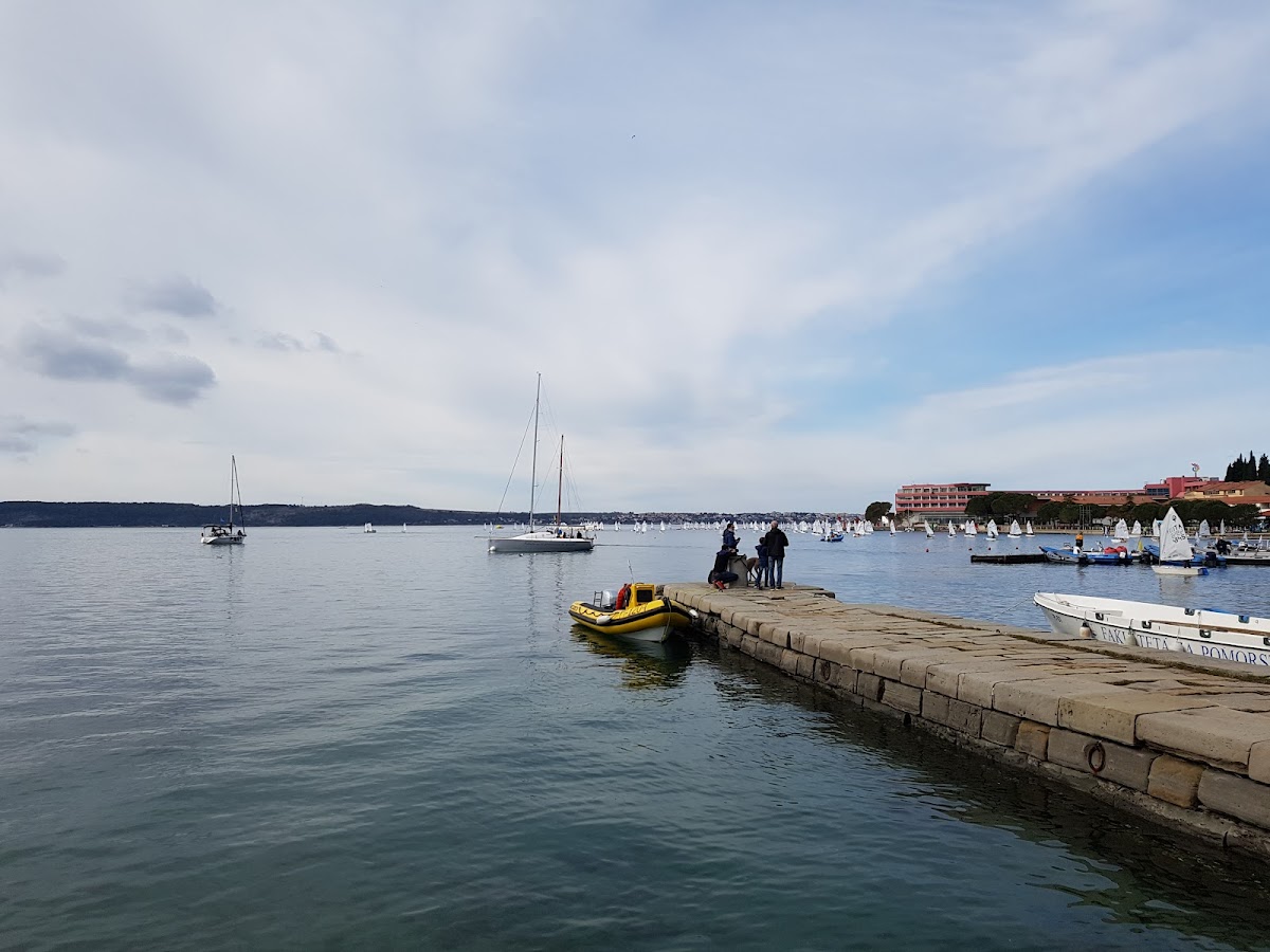 Faculty of Maritime Studies and Transport, University of Ljubljana photo 1