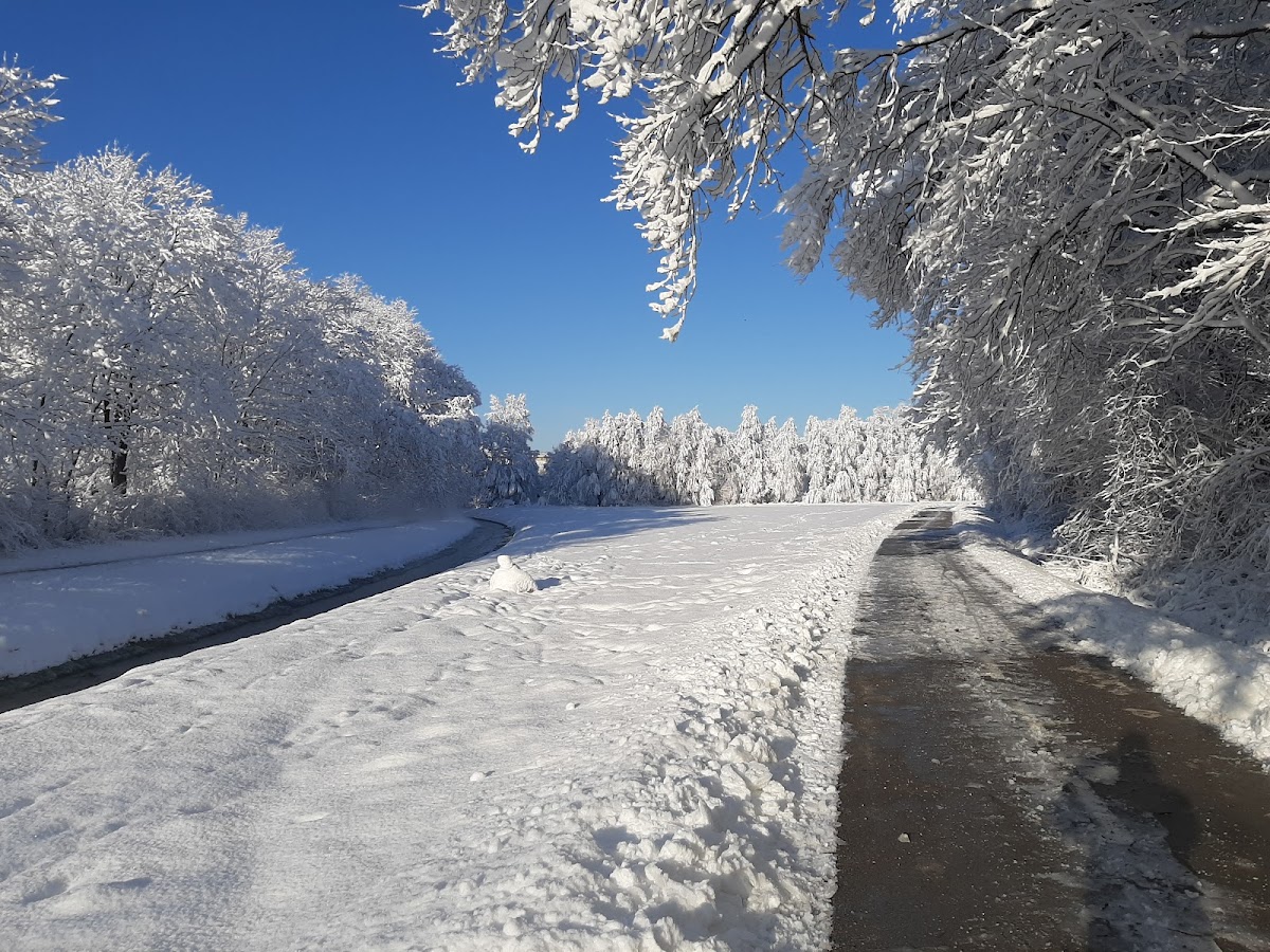 Biotechnical Faculty, University of Ljubljana photo 6