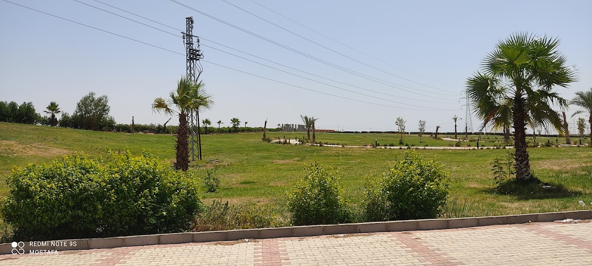 Aswan University photo 1