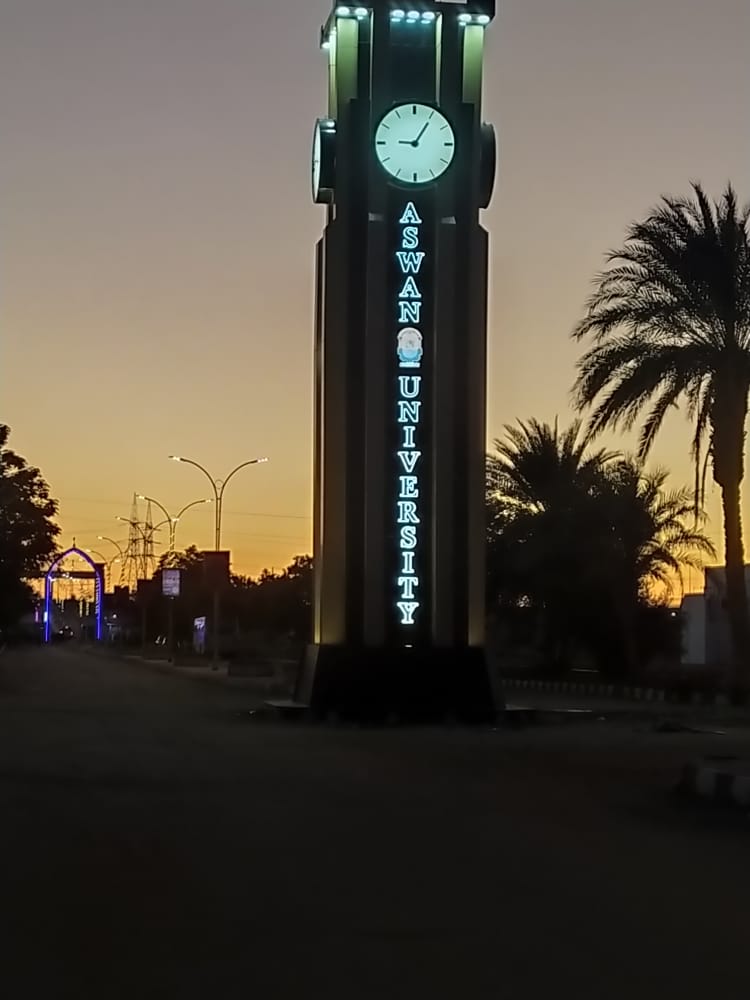 Aswan University photo 8