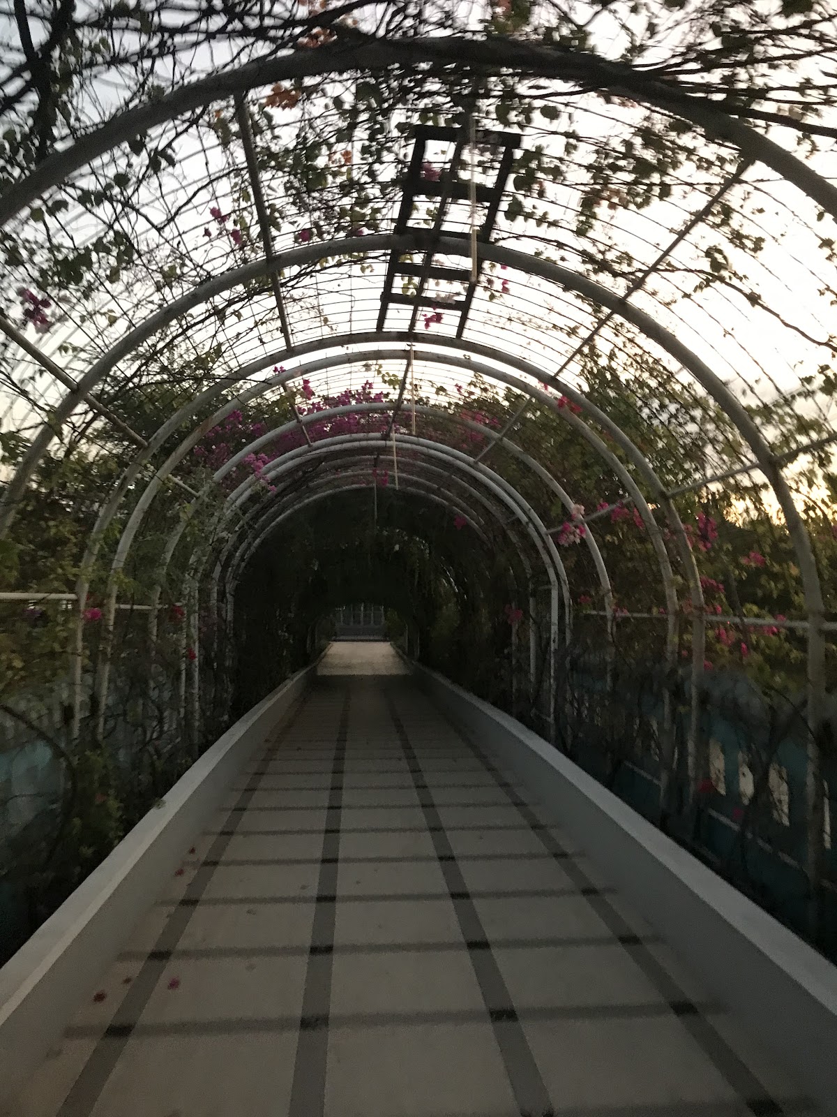 Universitas Airlangga photo 6