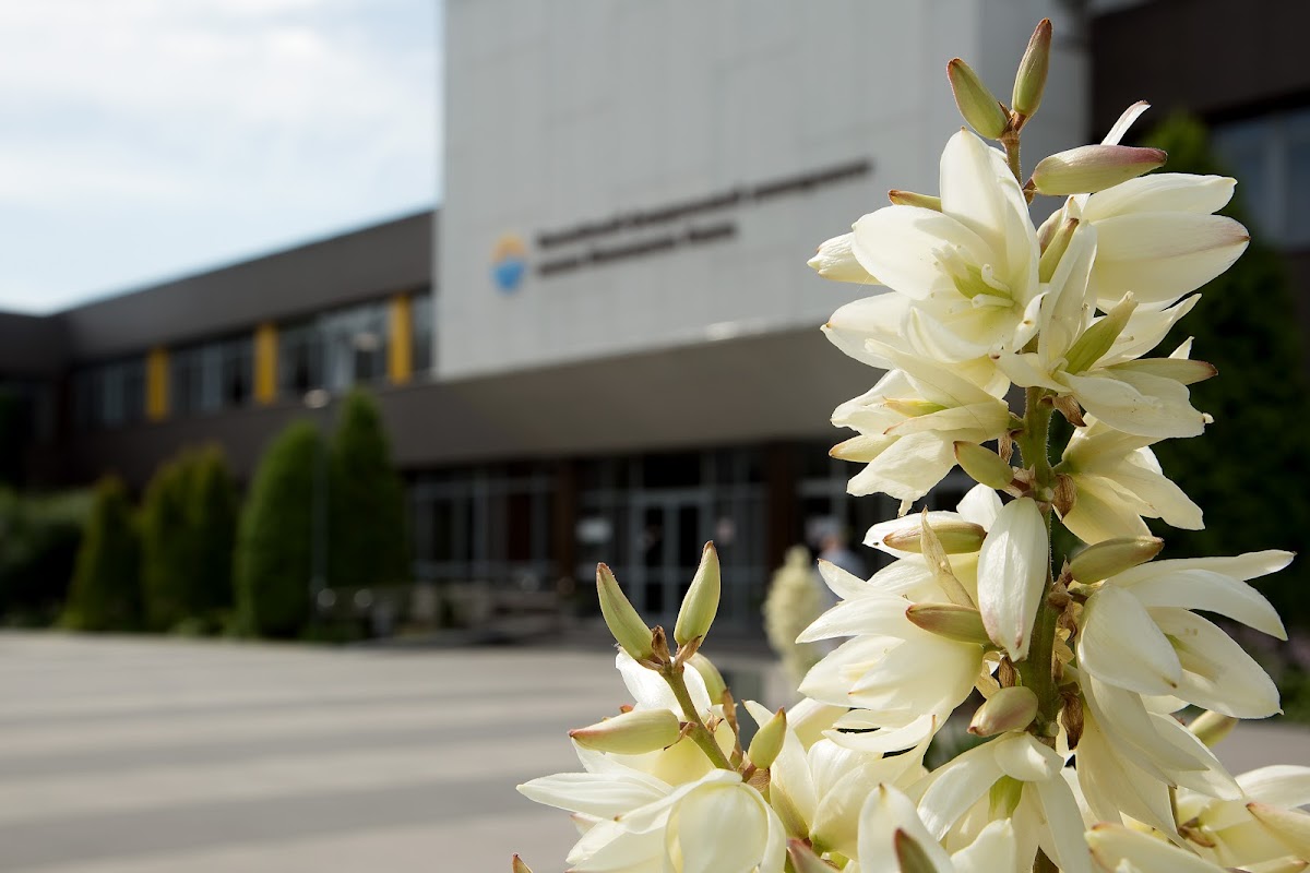 Immanuel Kant Baltic Federal University photo 1