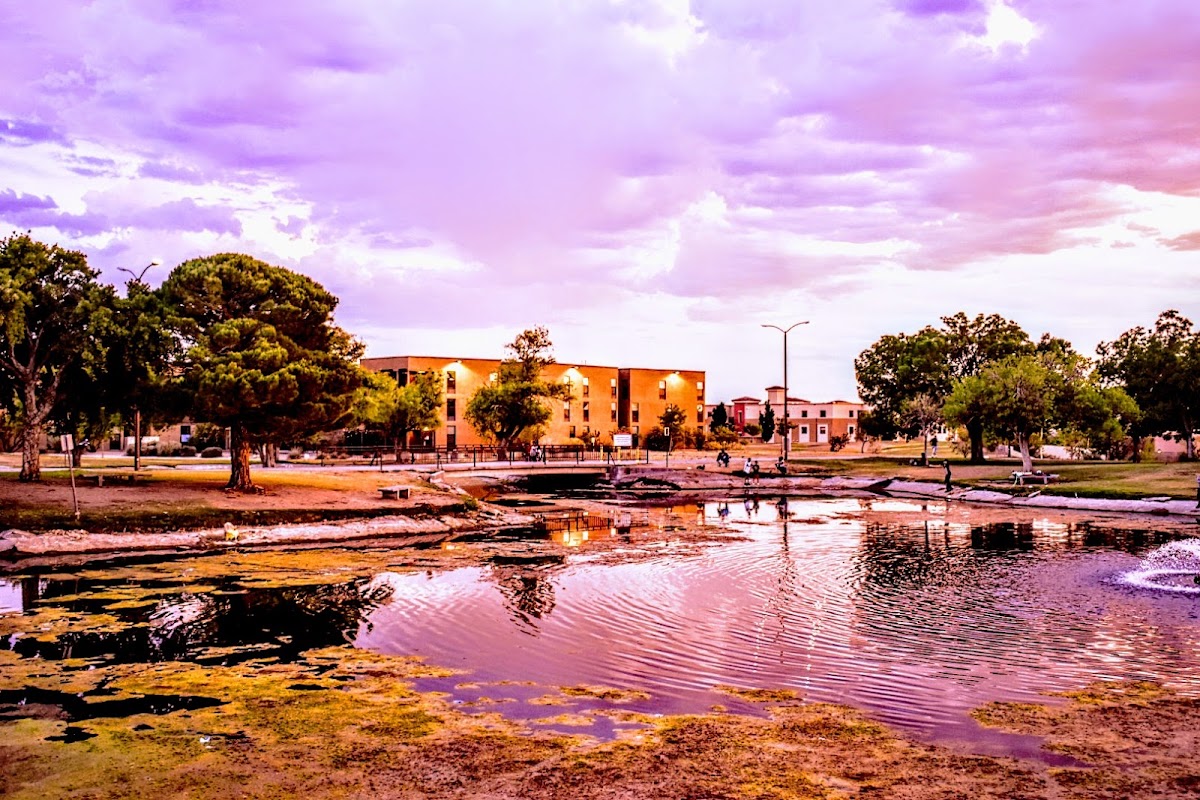 New Mexico State photo 2