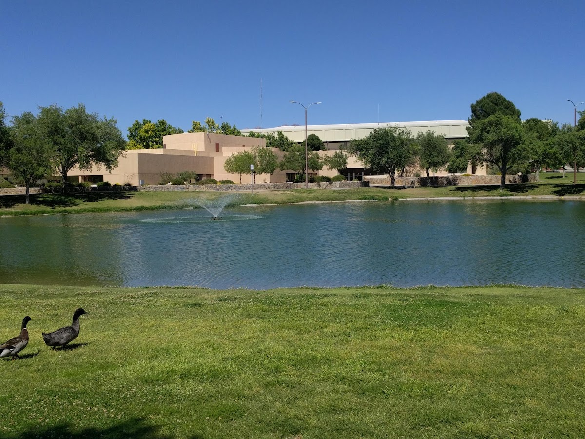 New Mexico State photo 6