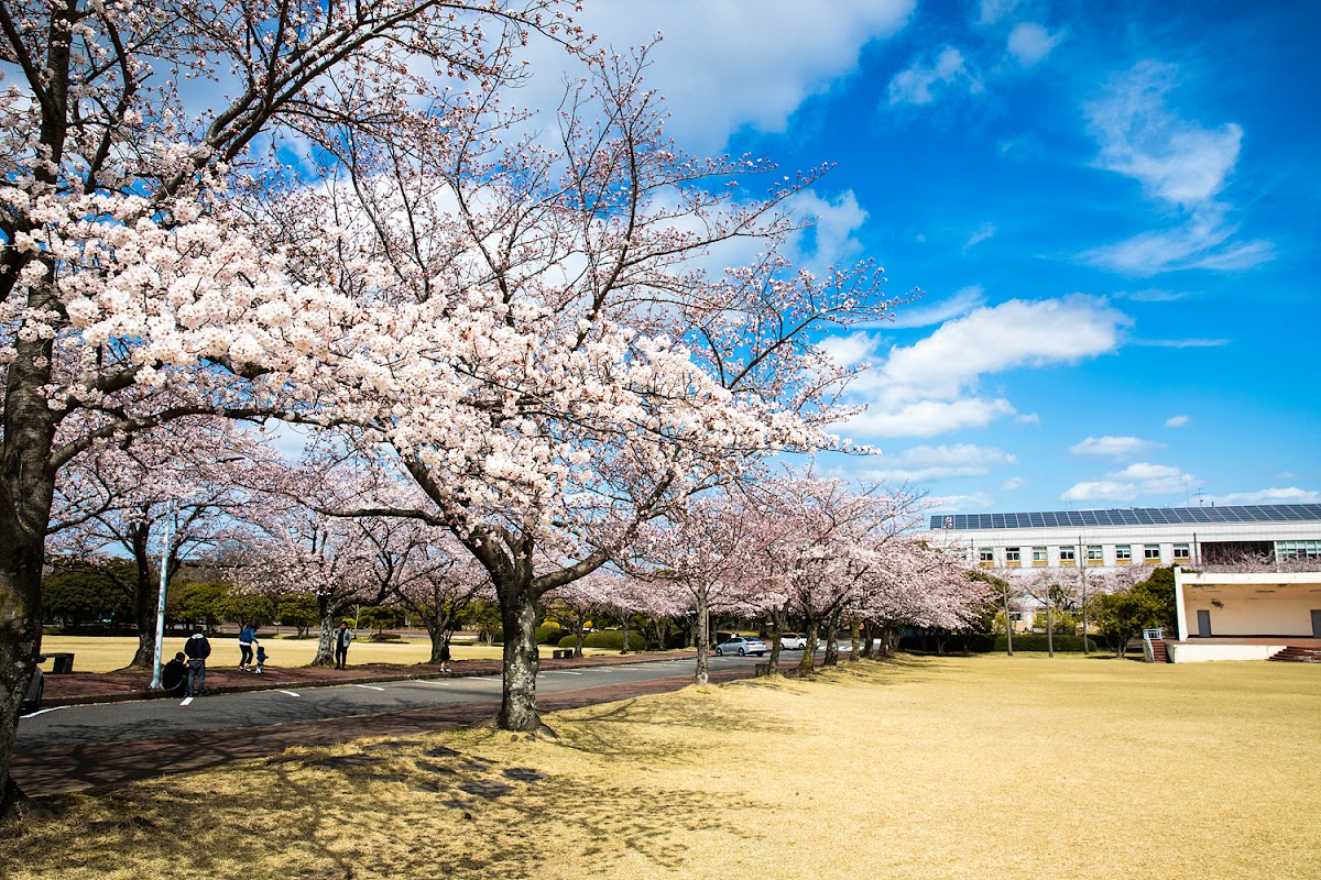 Jeju National University photo 3