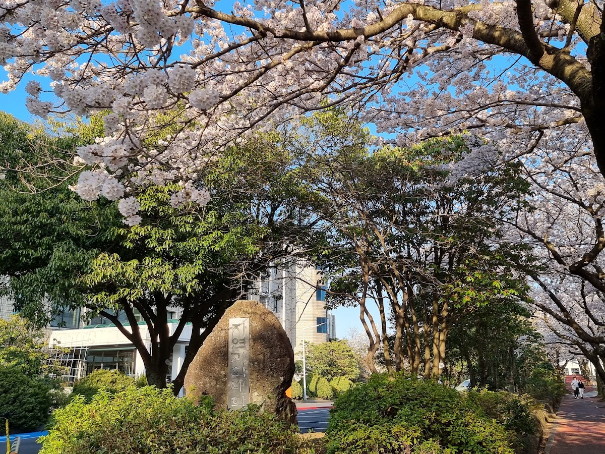 Jeju National University photo 4