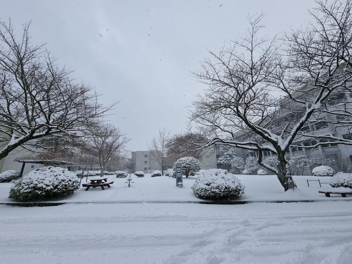 Jeju National University photo 5