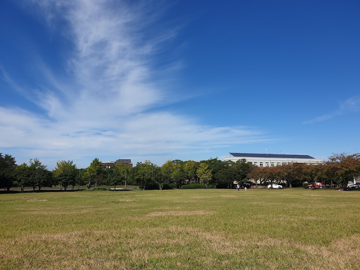 Jeju National University photo 6