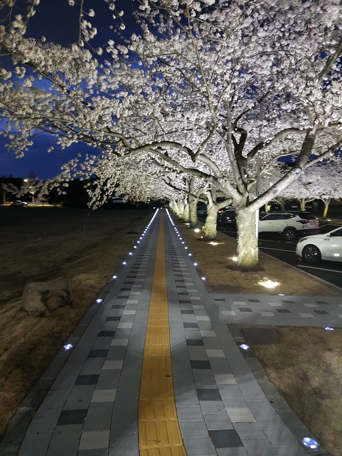 Jeju National University photo 7