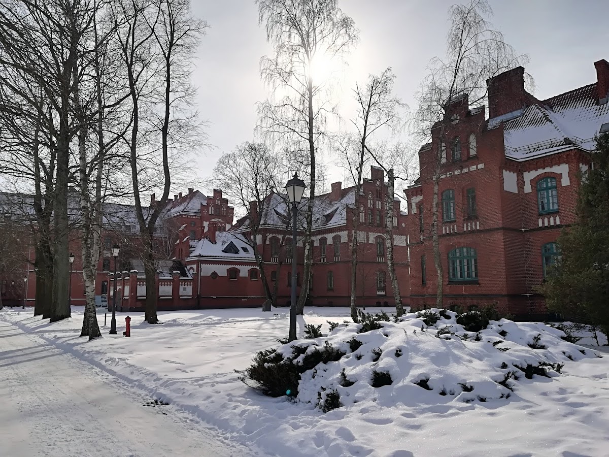 Klaipeda University photo 6