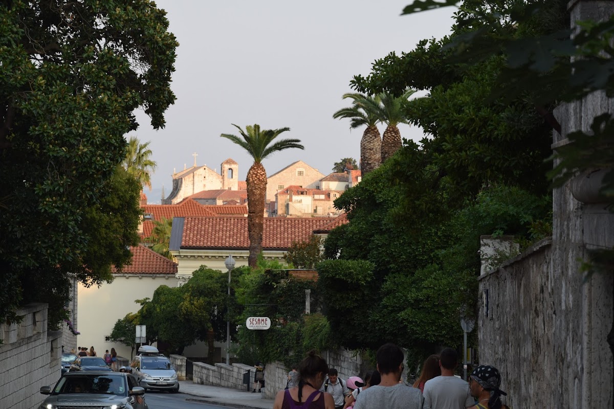 University of Dubrovnik photo 3