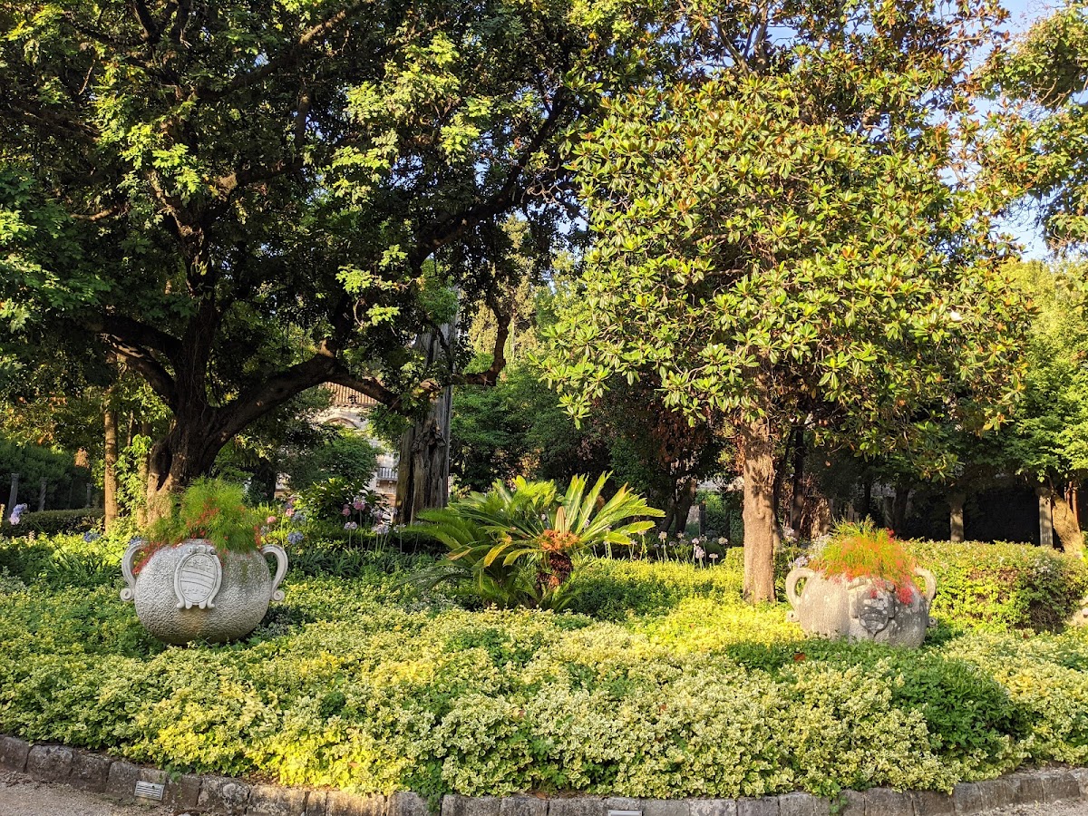 University of Dubrovnik photo 6