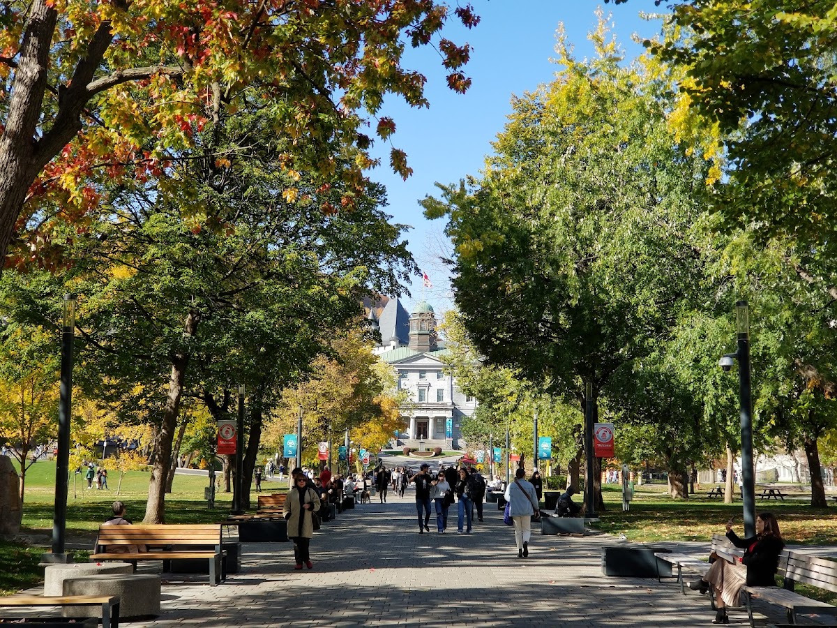 Université McGill photo 7