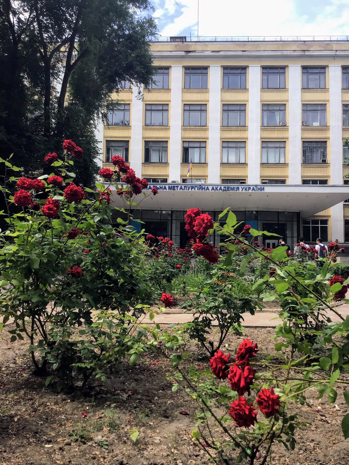 National Metallurgical Academy of Ukraine photo 6