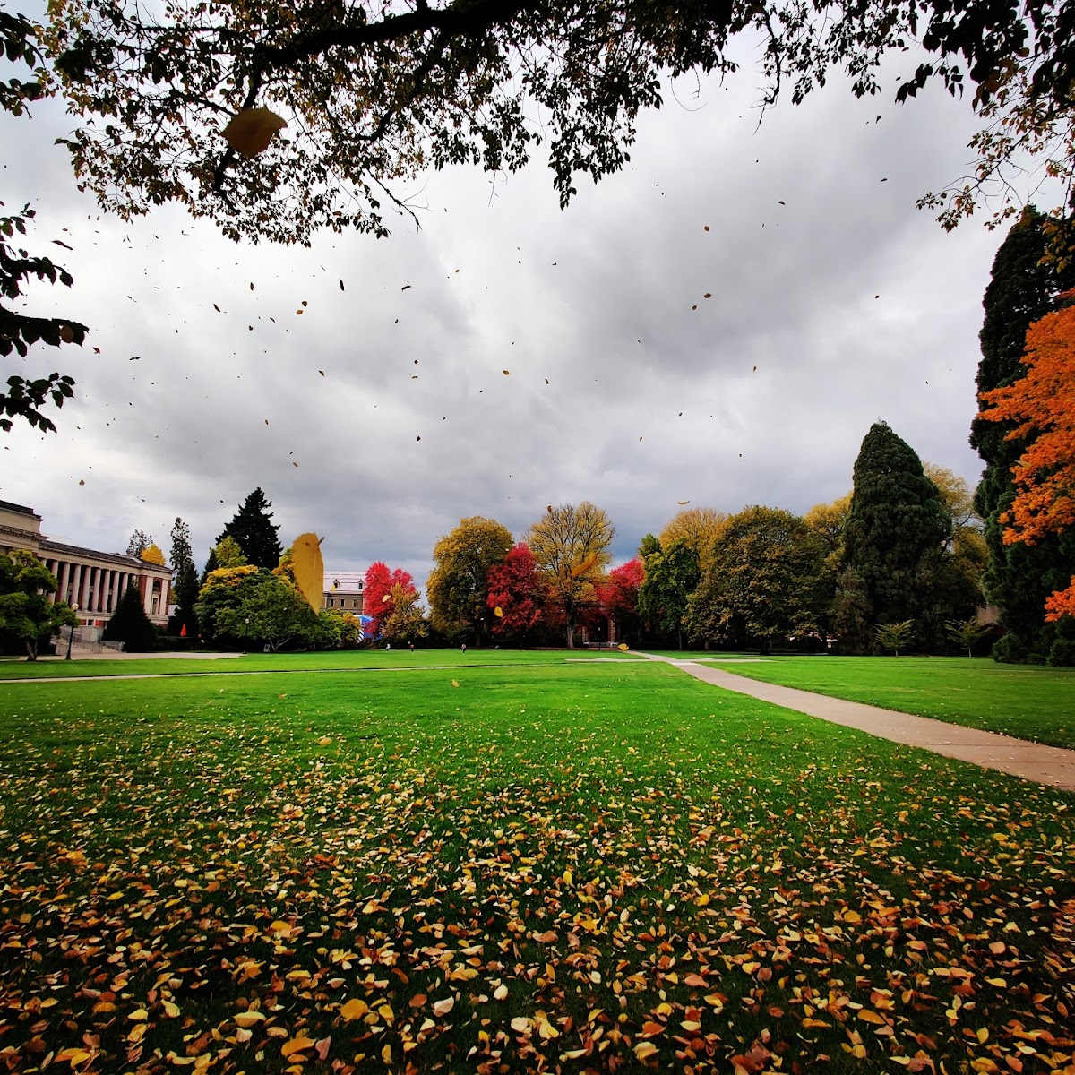 Oregon State University photo 9