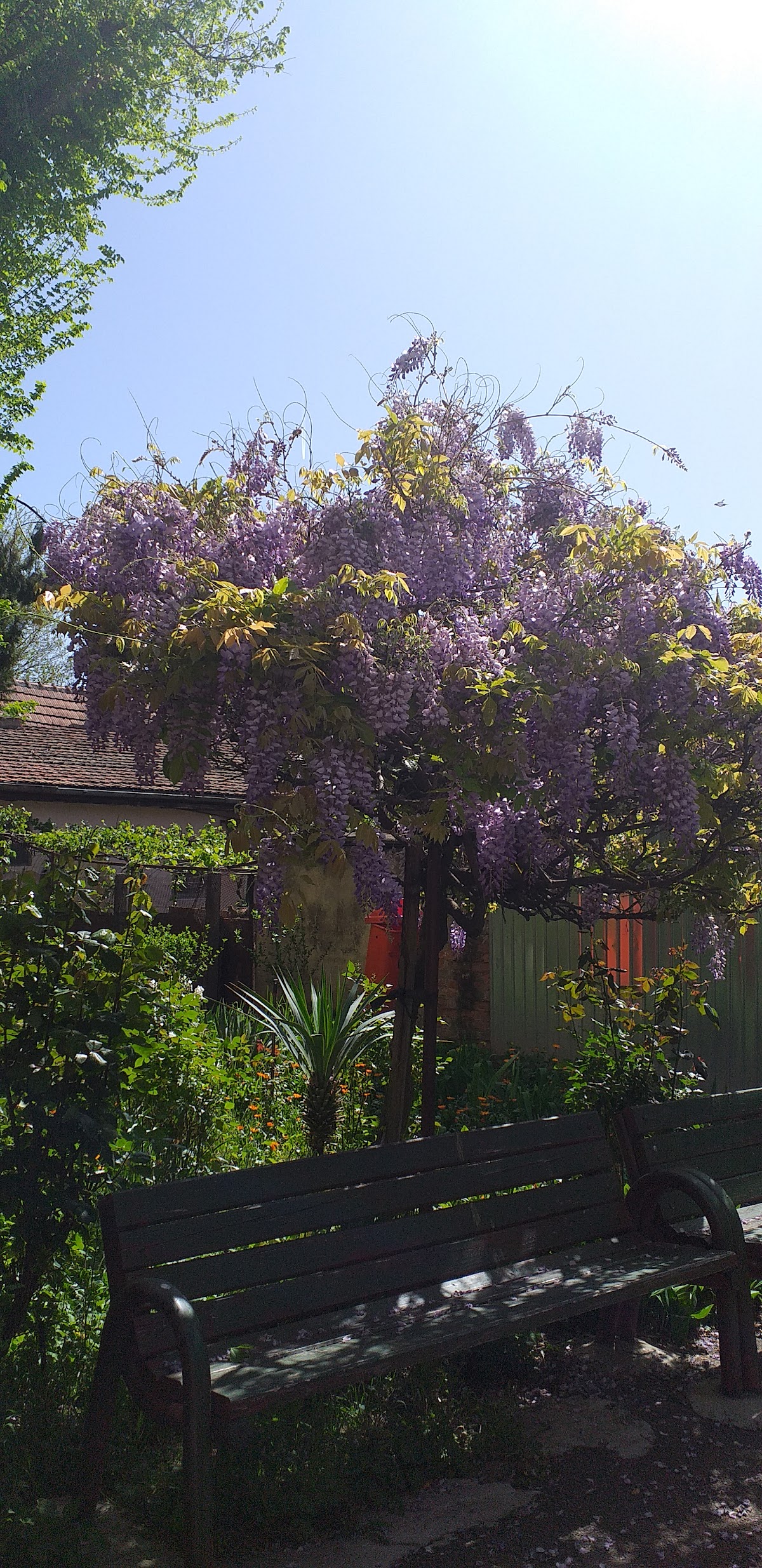 Aurel Vlaicu University of Arad photo 8