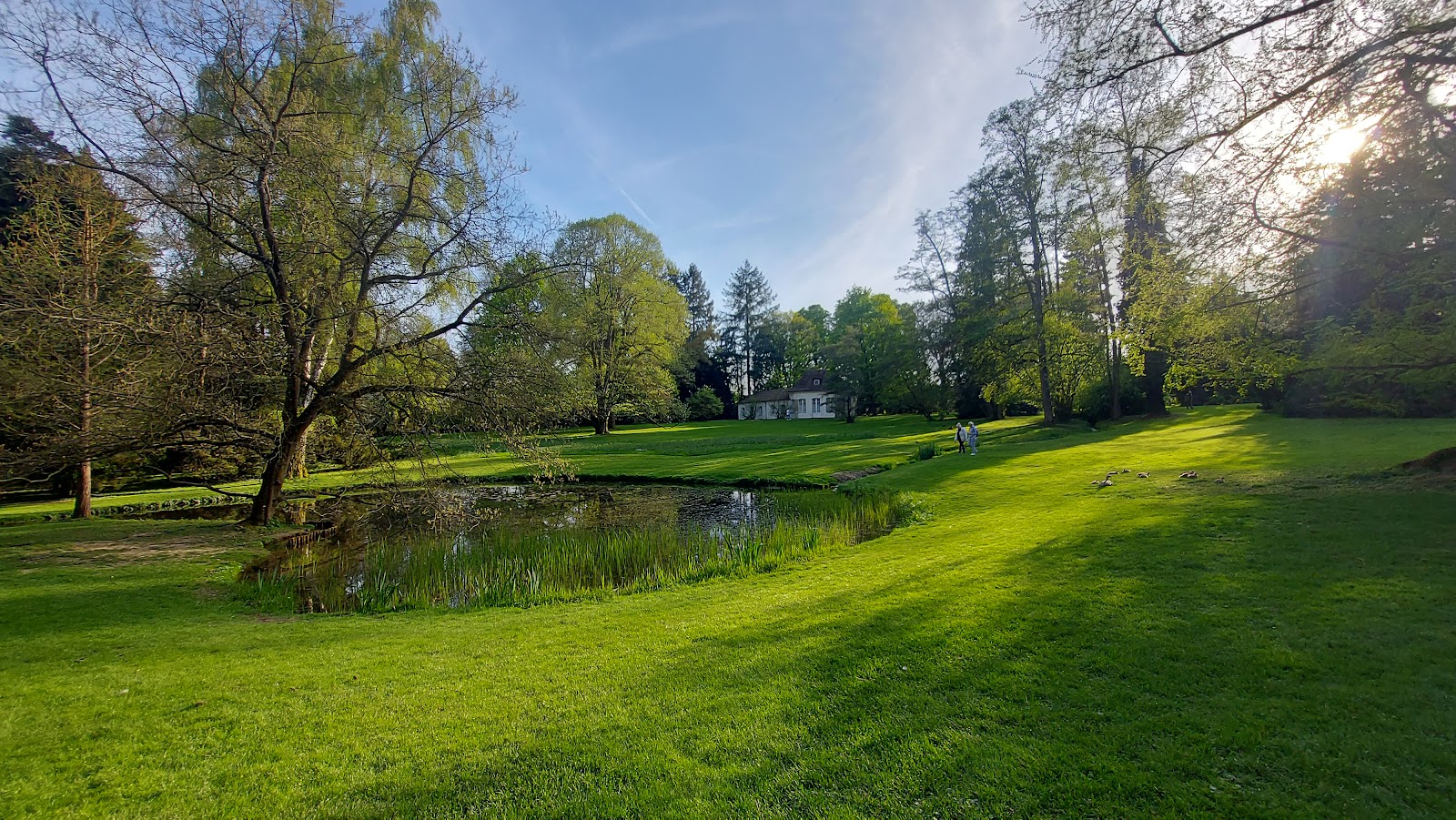 University of Hohenheim