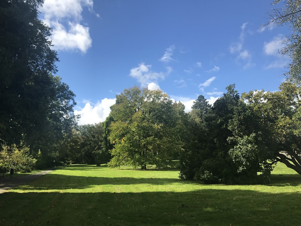 University of Hohenheim photo 4