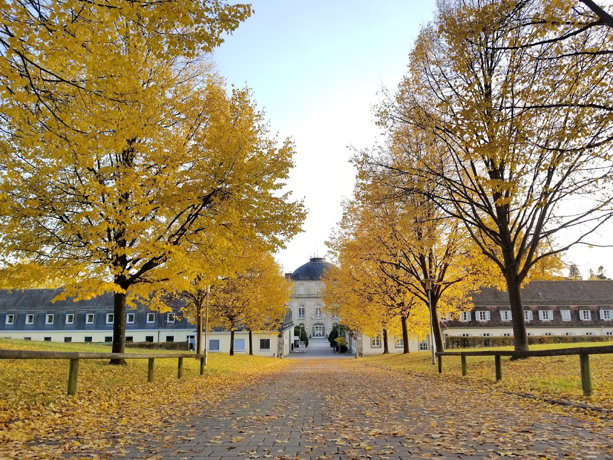 University of Hohenheim photo 7