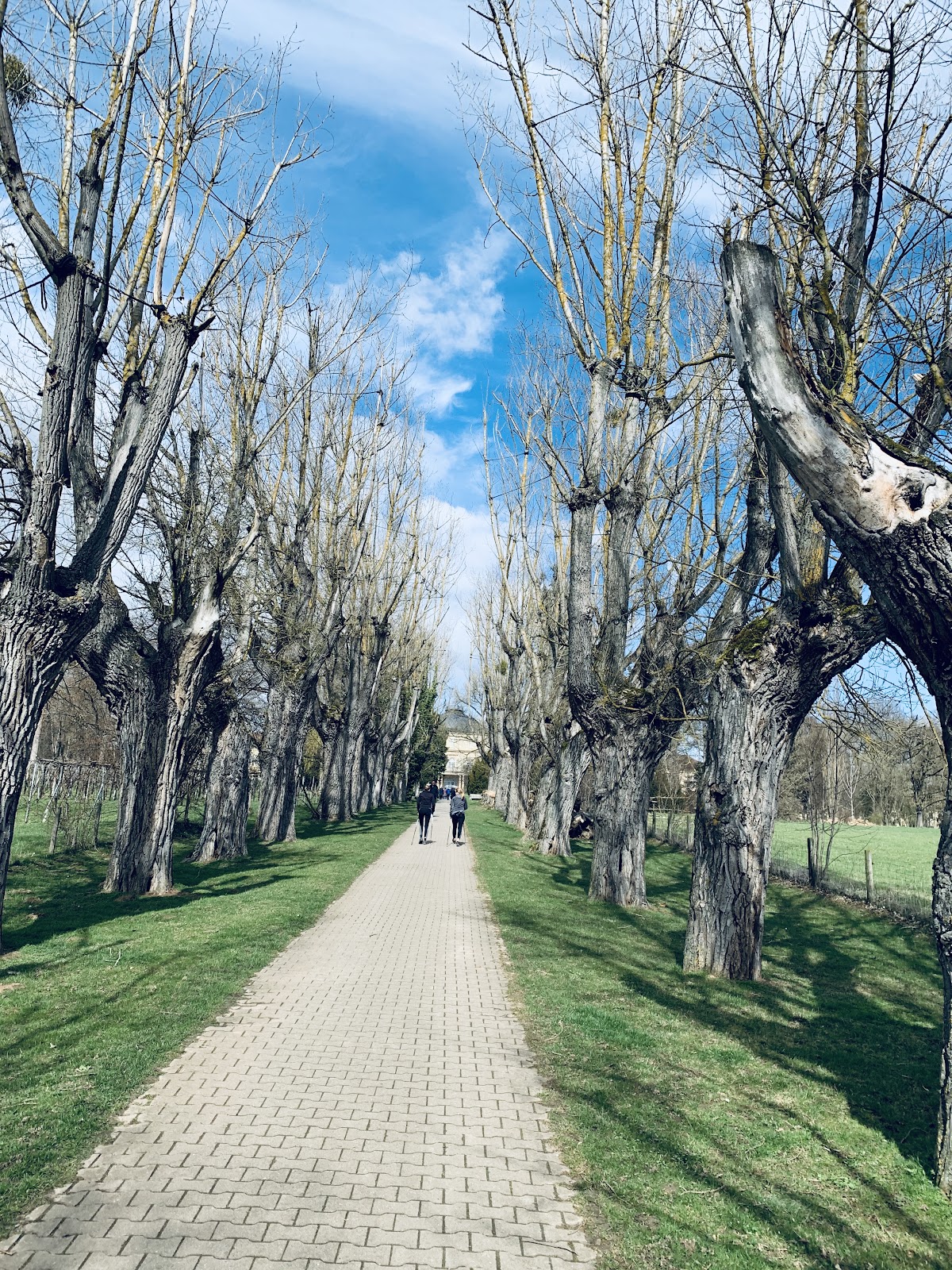 University of Hohenheim photo 8