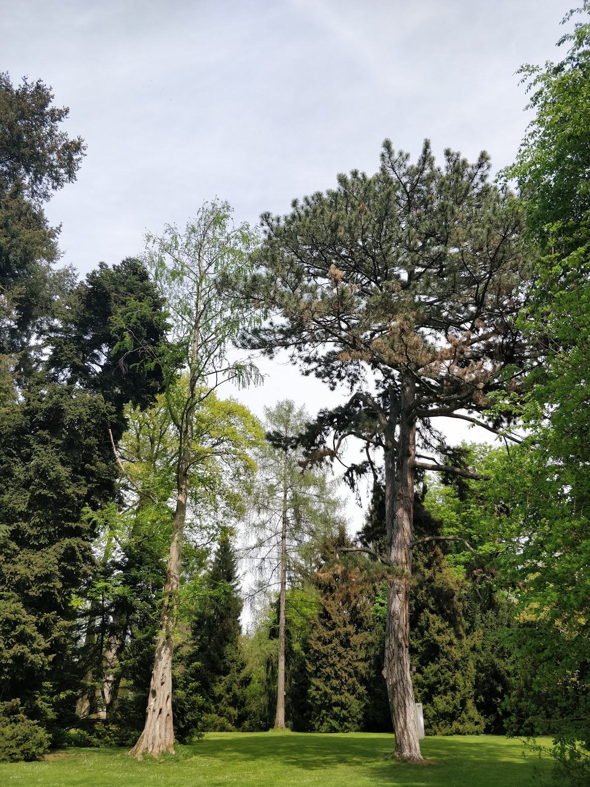 University of Hohenheim photo 9