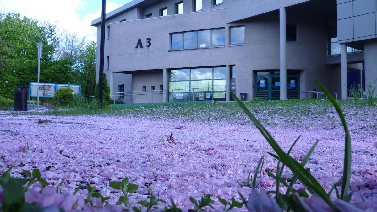 Université de Lille photo 3