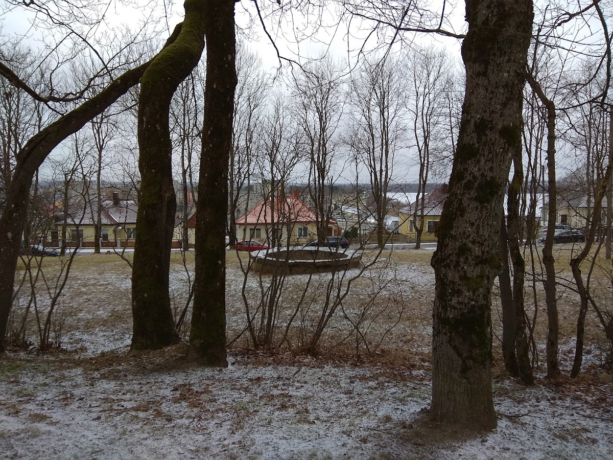 Žemaitija College photo 8