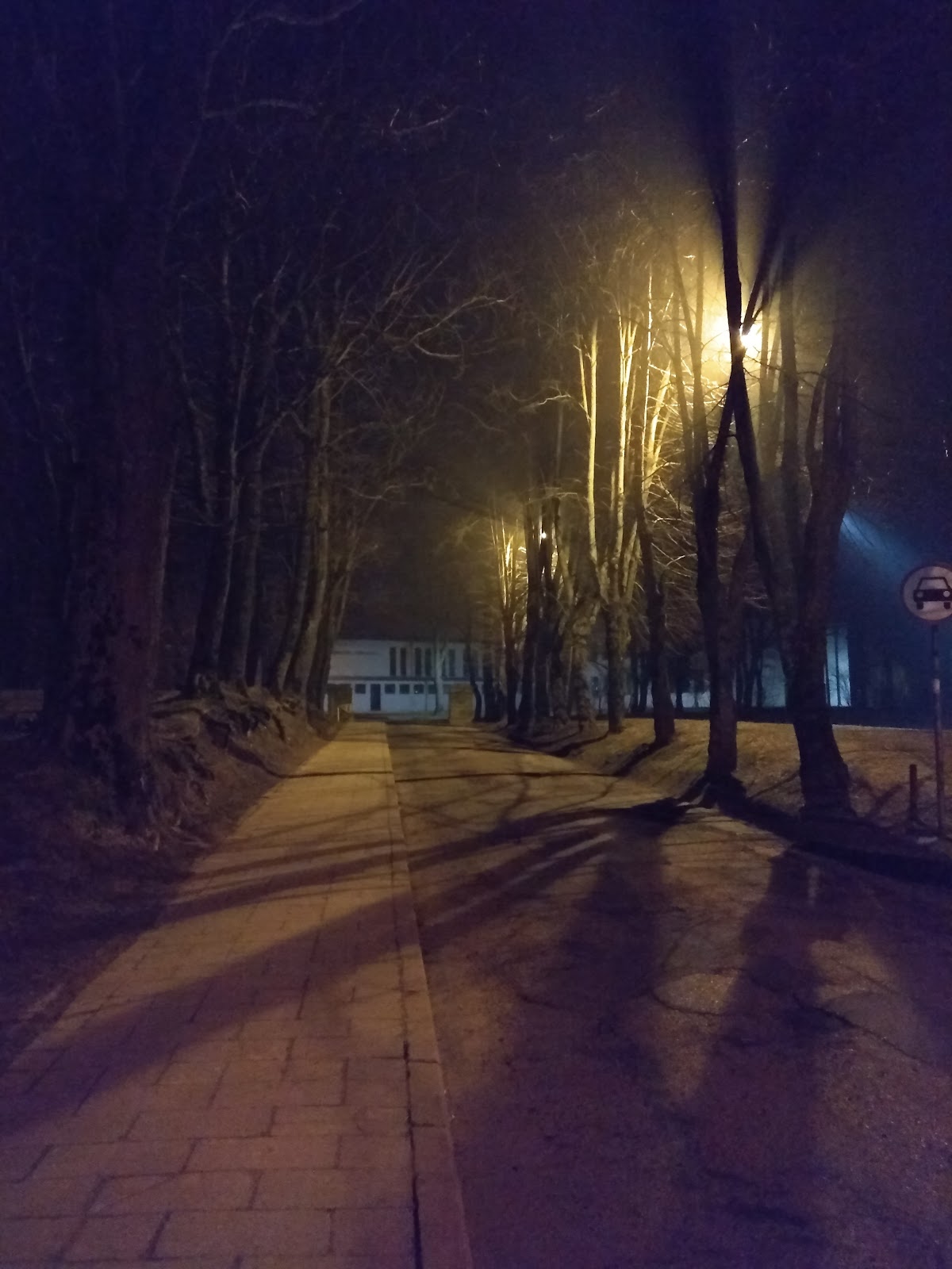 Žemaitija College photo 9