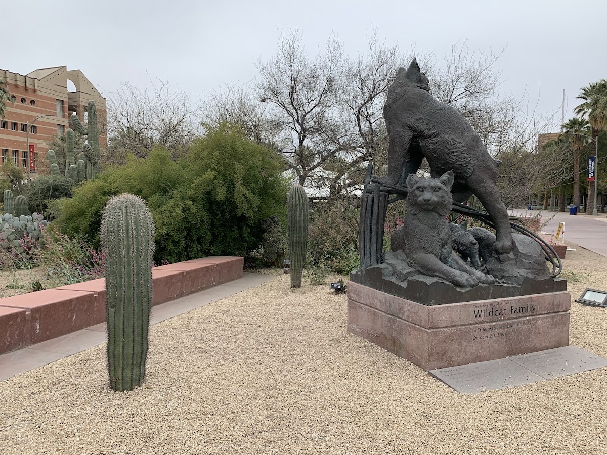 University of Arizona photo 9