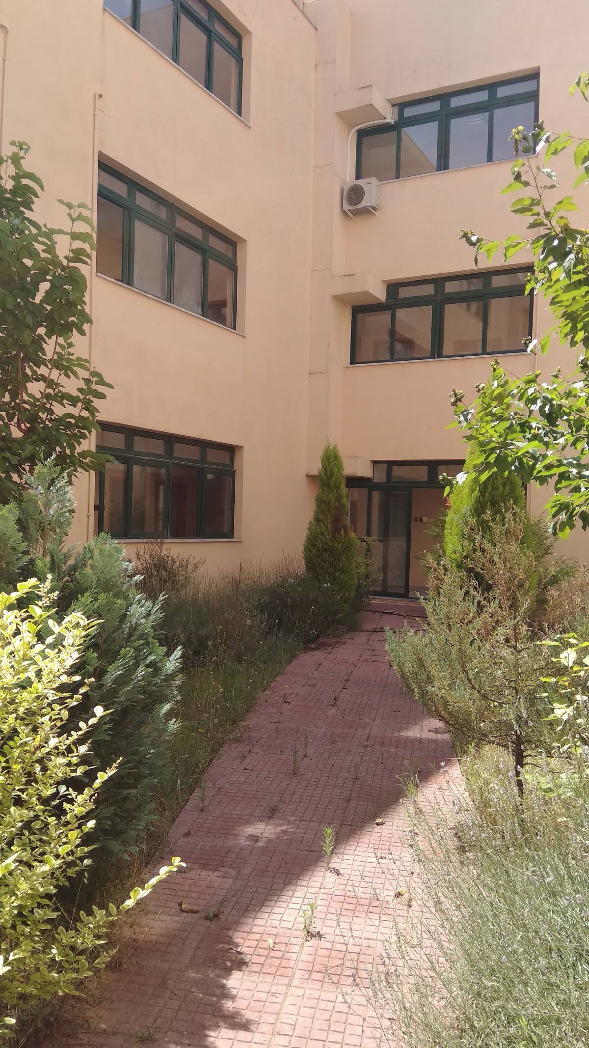 University of Peloponnese - Nafplio photo 9