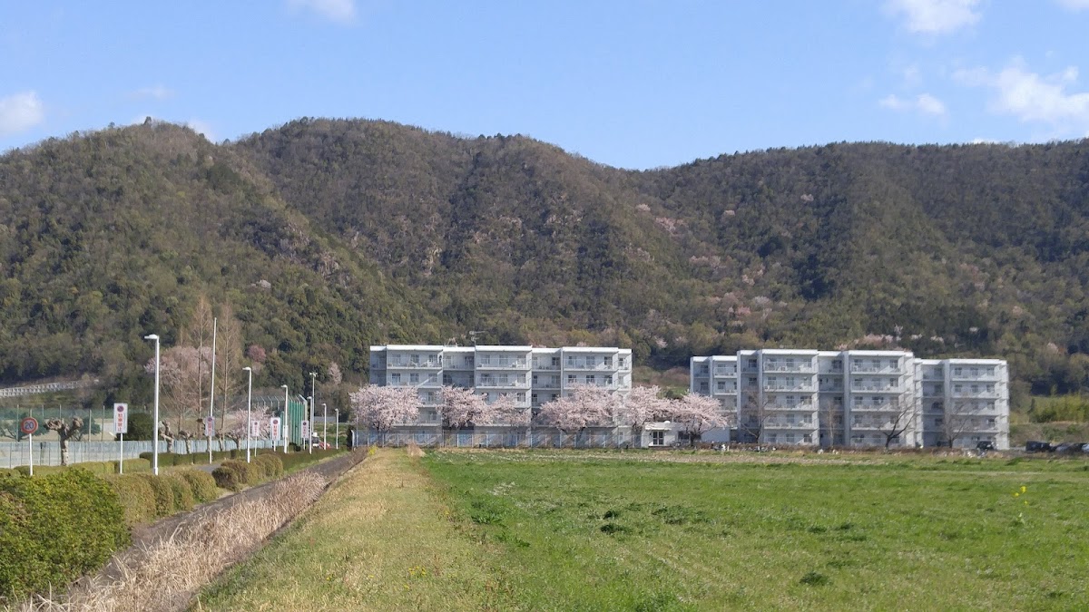 Gifu University photo 1