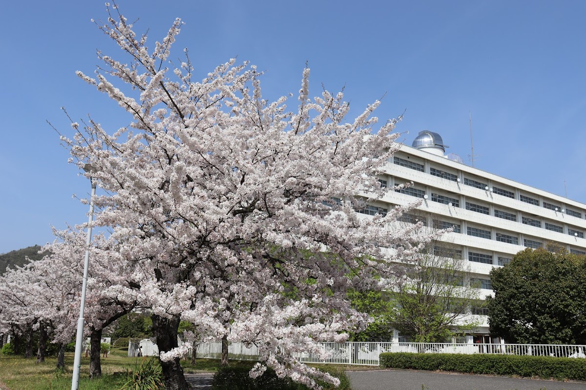 Gifu University photo 5