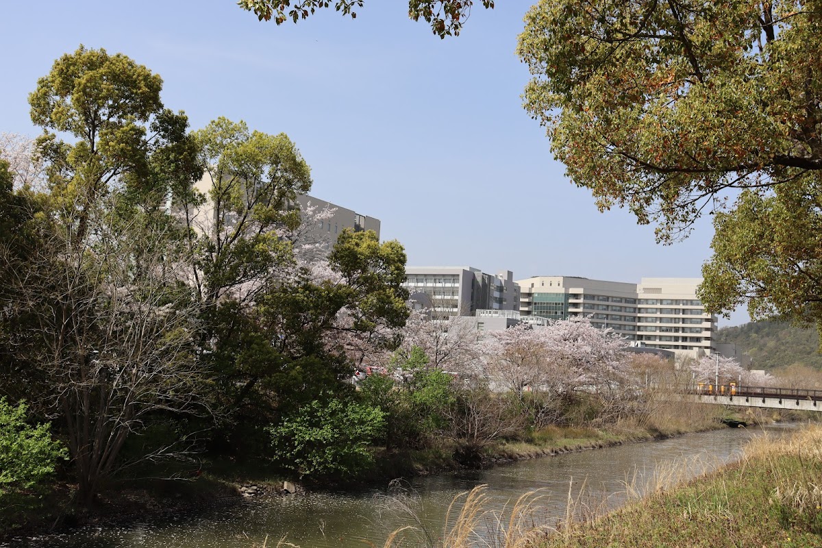 Gifu University photo 6