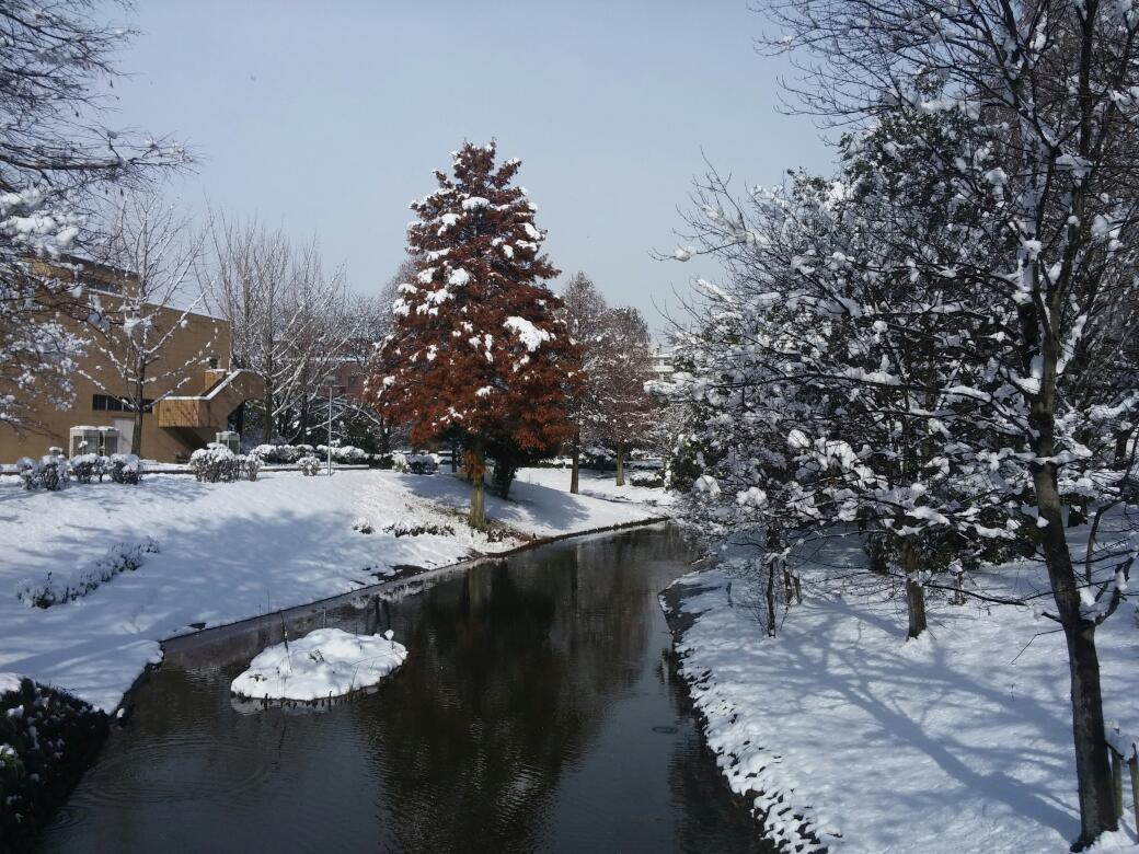 Gifu University photo 8