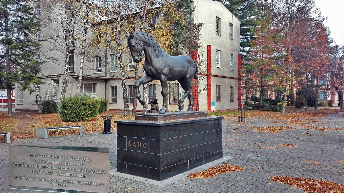 University of Veterinary Medicine and Pharmacy in Košice
