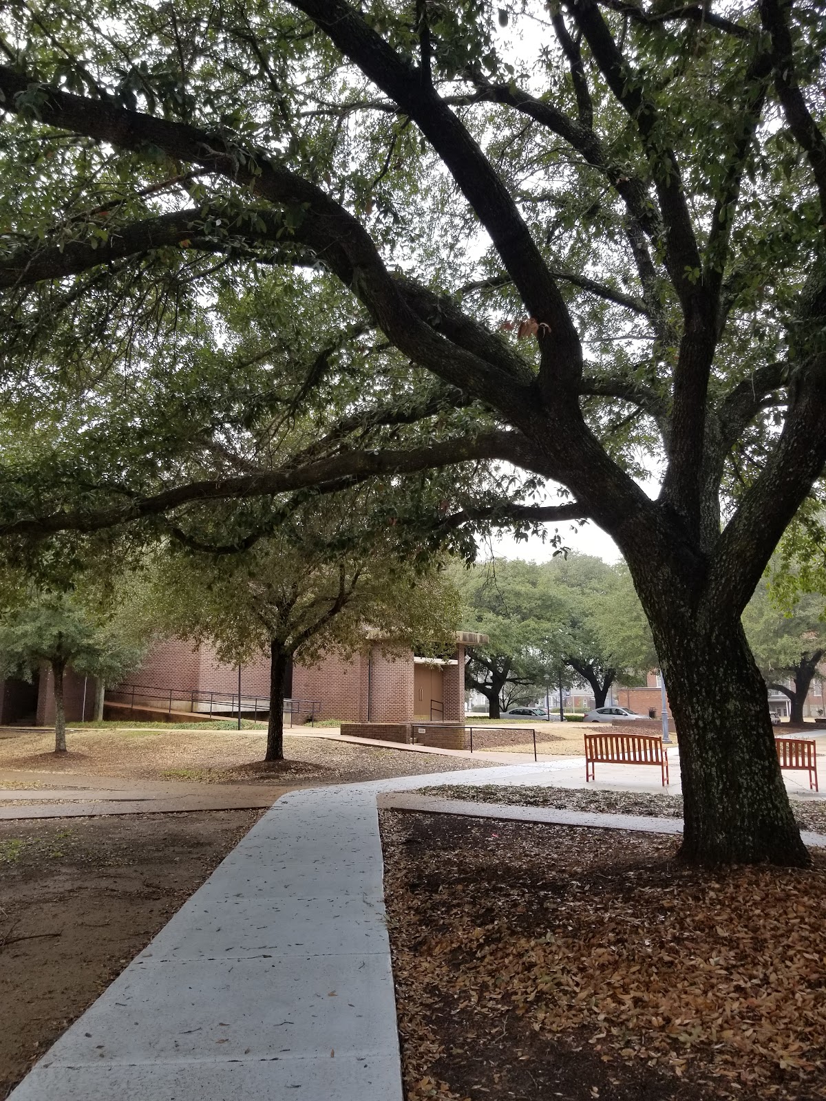 Mississippi University for Women photo 8