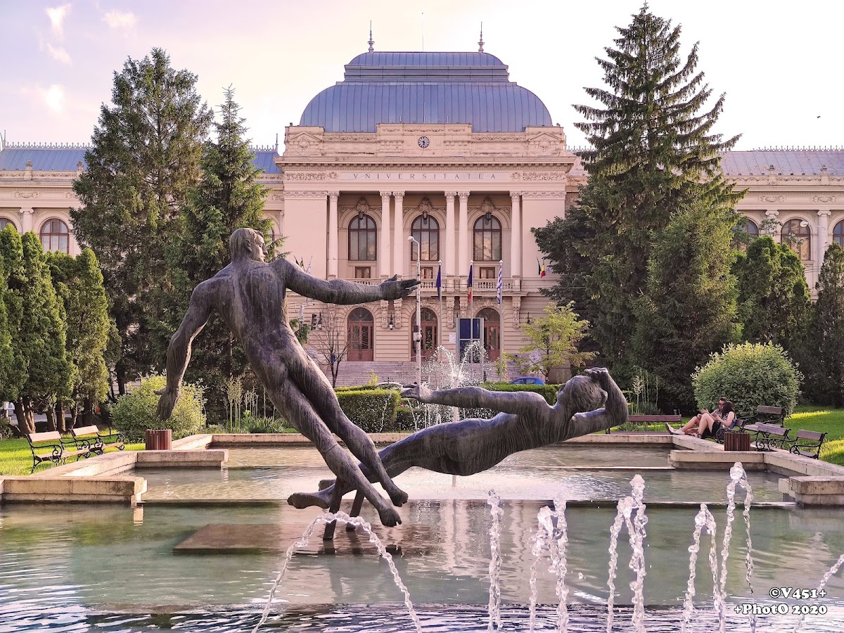 Alexandru Ioan Cuza University photo 6