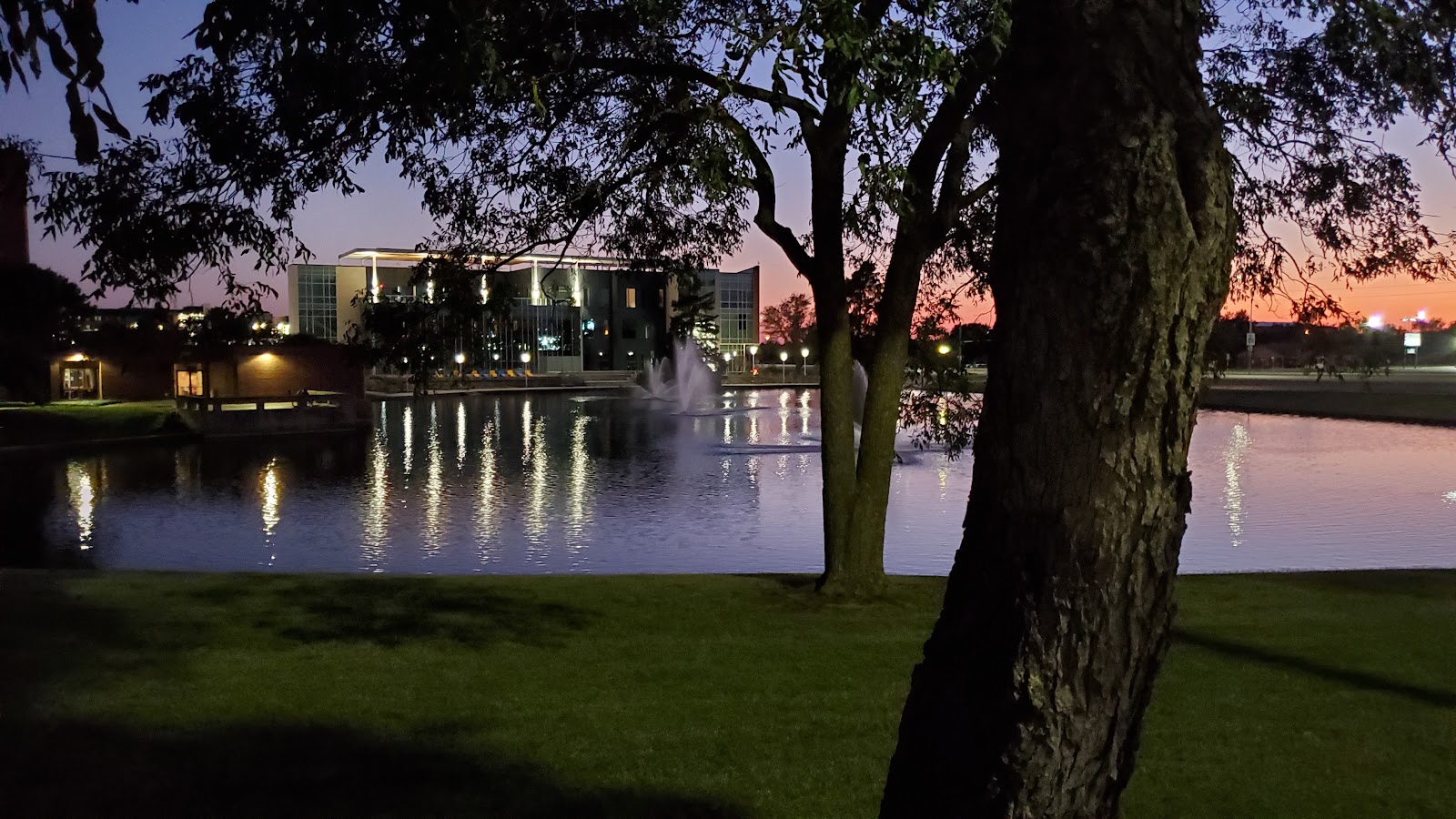 Texas A&M Commerce campus