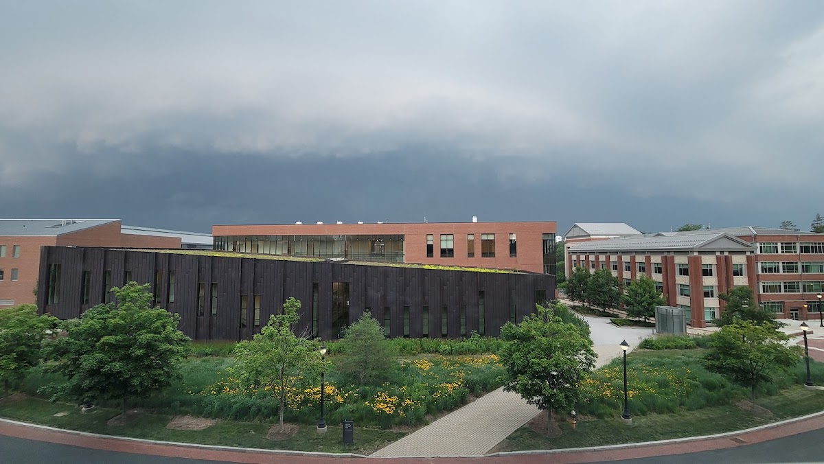 University of Connecticut photo 4