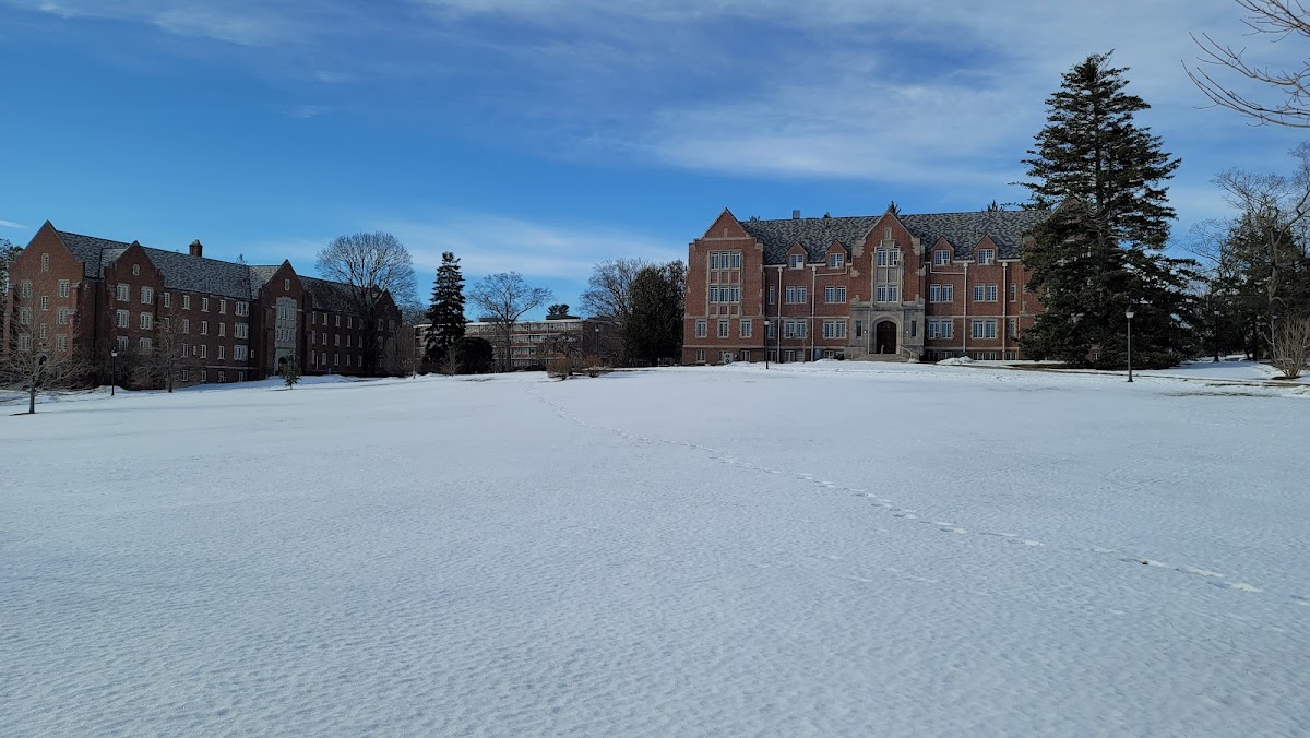 University of Connecticut photo 5