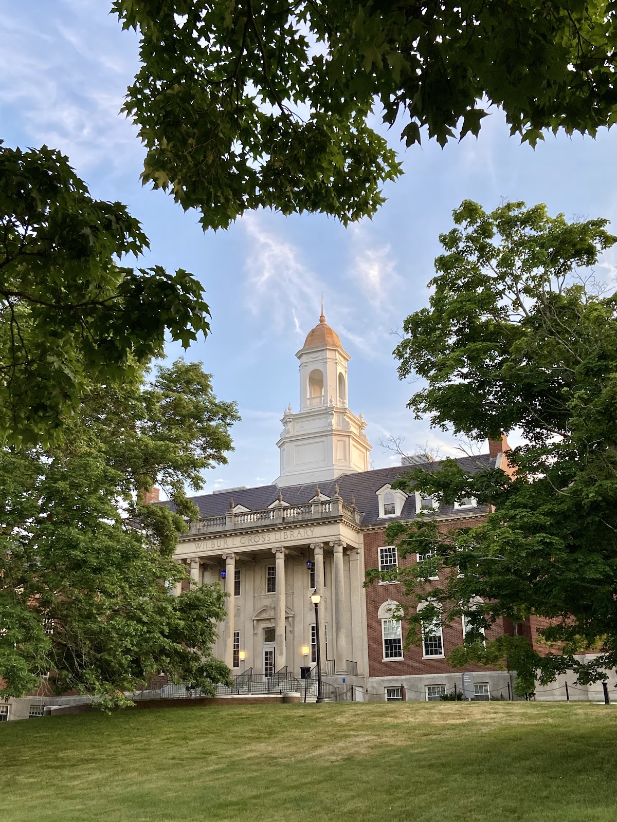 University of Connecticut photo 8