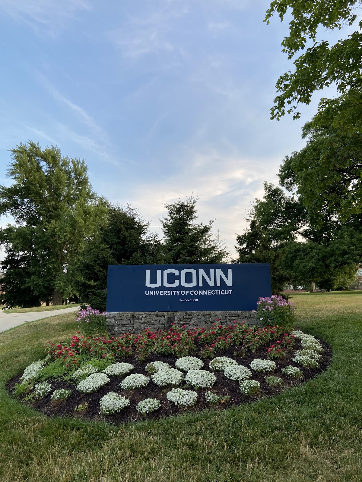 University of Connecticut photo 9