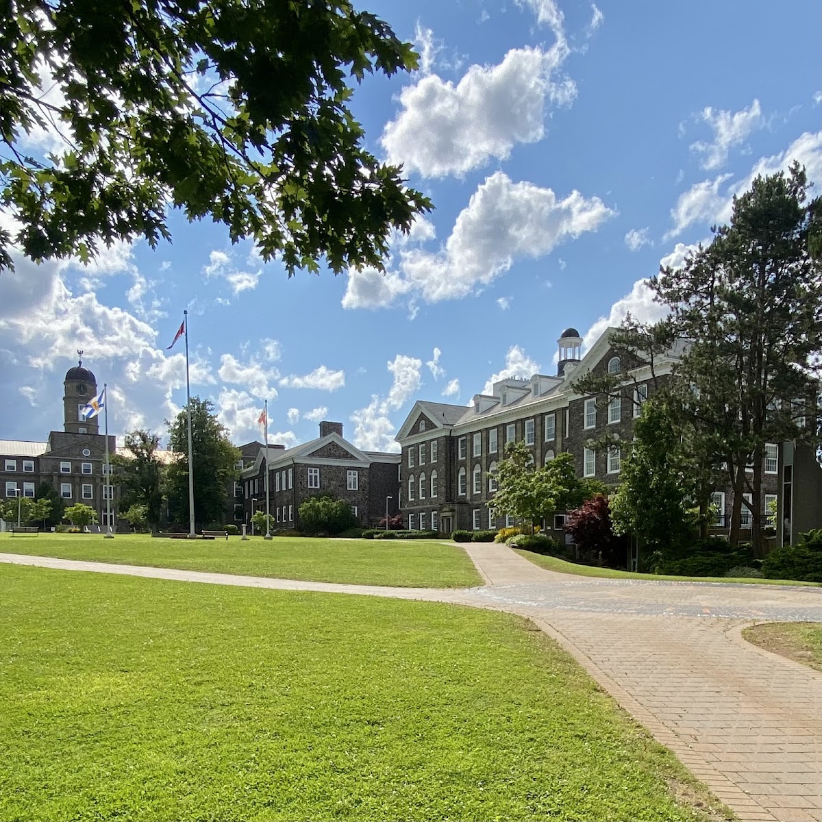 Dalhousie University photo 8