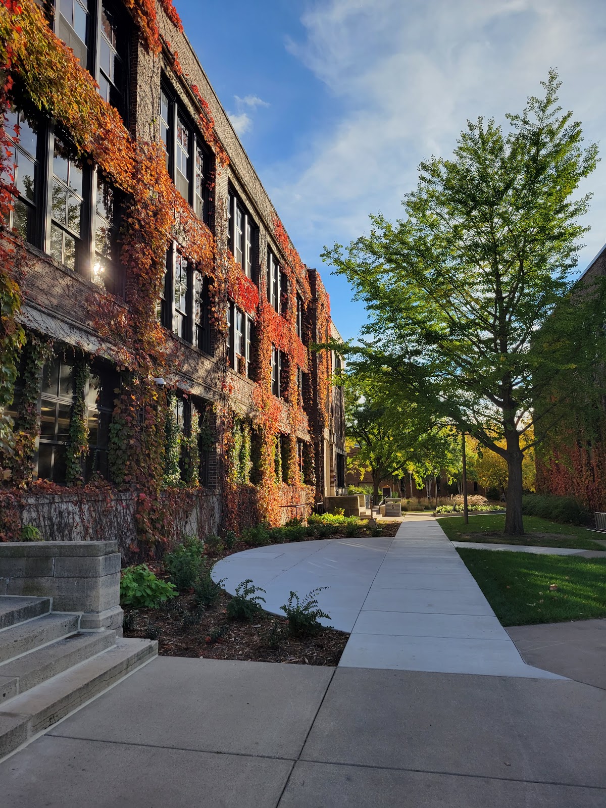 Winona State University photo 8