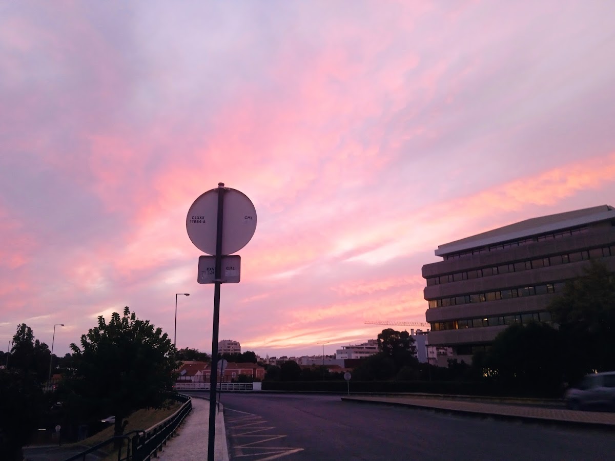 Catholic University of Portugal photo 6