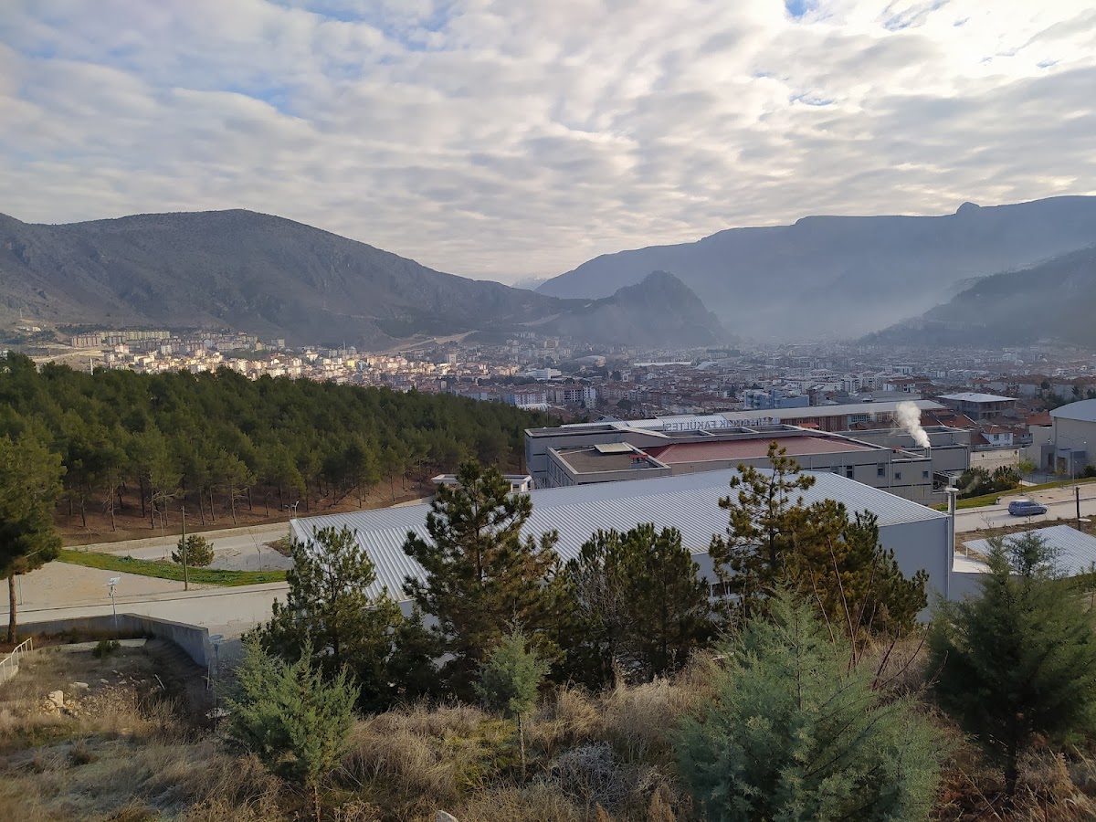 Amasya University photo 8